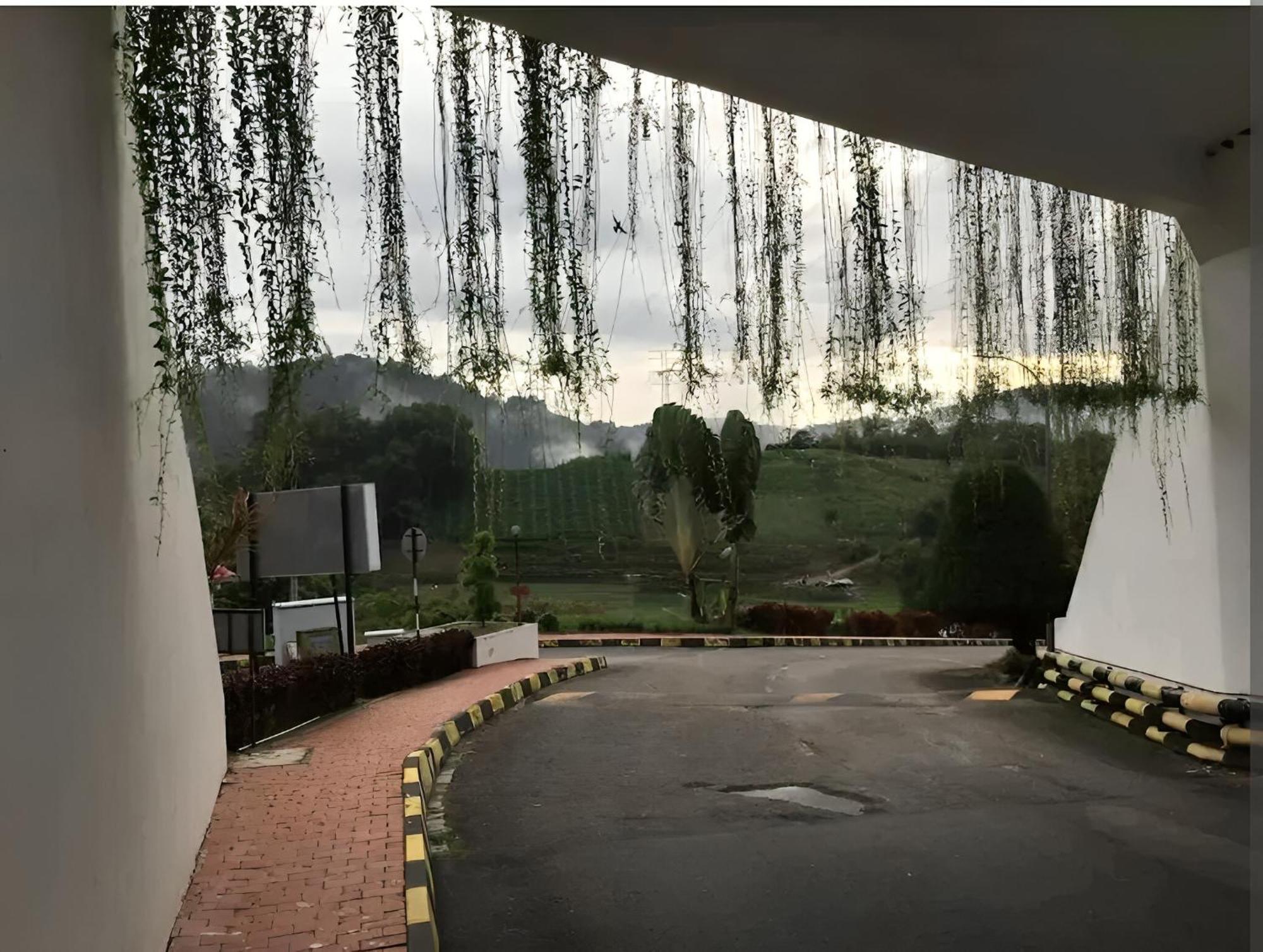 Bukit Tinggi Fuchsia Hillhomes Zewnętrze zdjęcie